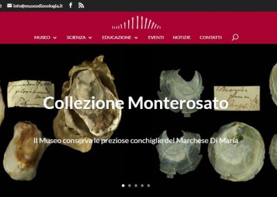Sito web del Museo Civico di Zoologia