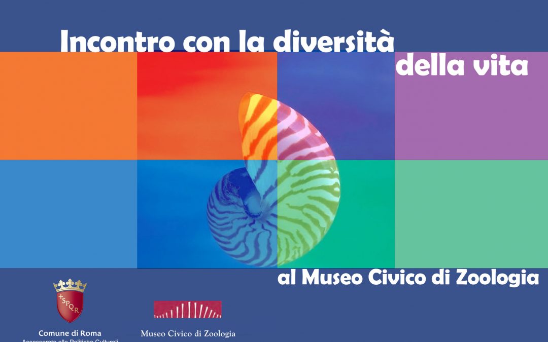 Incontro con la diversità della vita