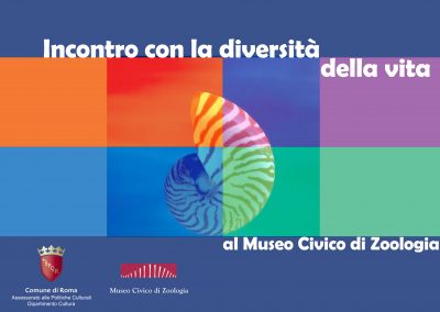Incontro con la diversità della vita